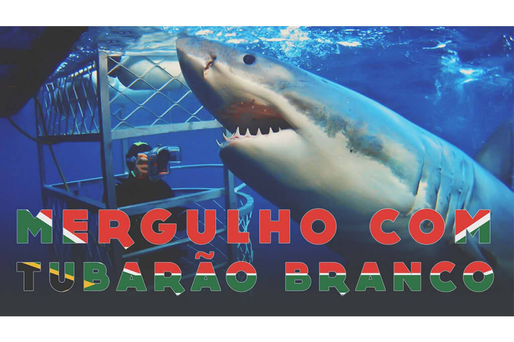 mergulho com tubarao na africa do sul